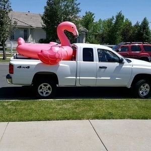 Meet your Posher, Stephen